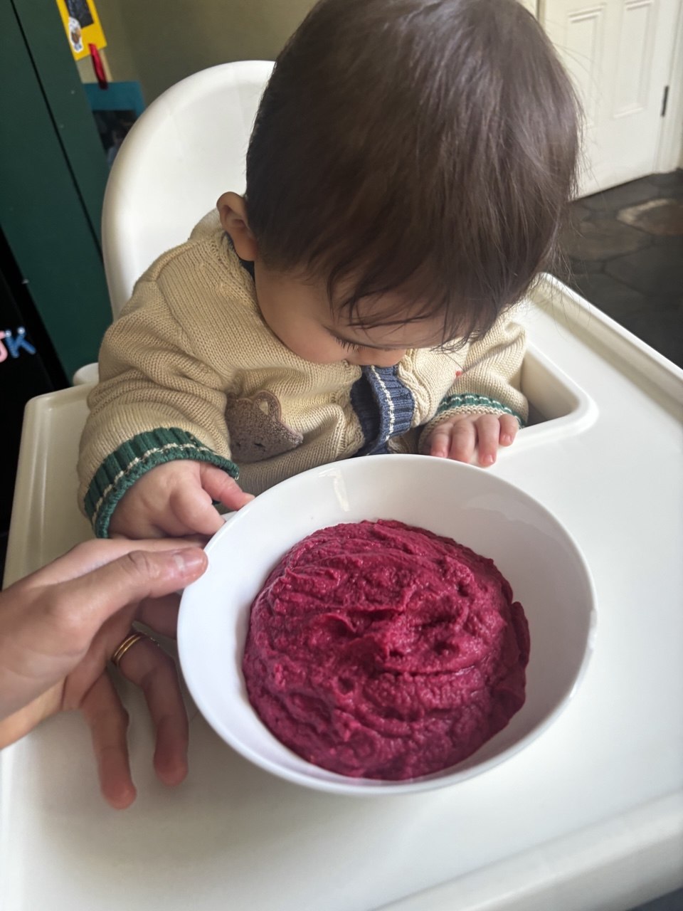 A baby in a cream knit cardigan sitting in a white high chair, leaning forward to inspect a large white bowl of deep crimson beetroot houmous being held by an adult.